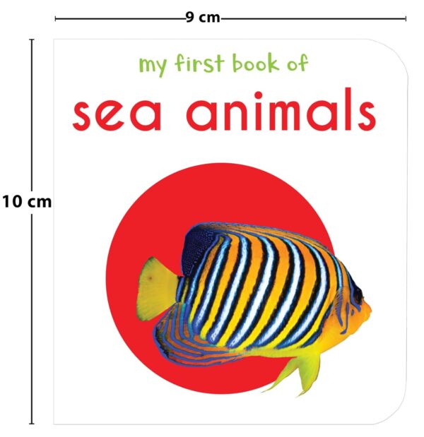 My First Library: Boxset of 10 Board Books for Kids Board book – Box set, 1 January 2018 - Image 6