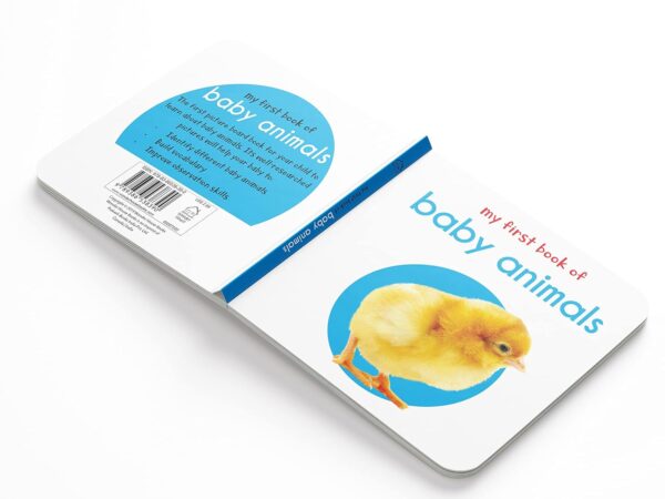 My First Library: Boxset of 10 Board Books for Kids Board book – Box set, 1 January 2018 - Image 7