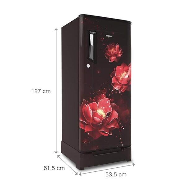 Whirlpool Ice Magic Powercool 190 L 4 Star Inverter Direct-Cool Single Door Refrigerator with Intellisense Inverter Technology (205 IMPRO ROY 4S, Wine Abyss), Free 1 Year Extended warranty - Image 4