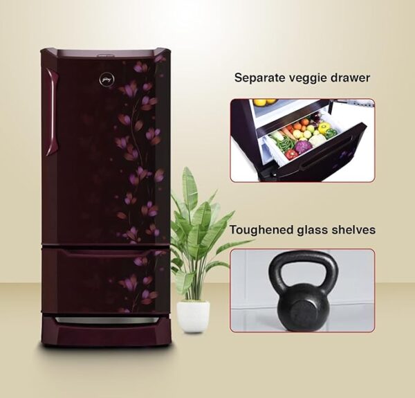 Godrej Edge 237 L 3 Star With Duo Flow Technology Reducing Cooling Loss by 50% Inverter Direct Cool Single Door Refrigerator (2024 Model, RD EDUO 270C TDI JD WN, Jade Wine) - Image 6