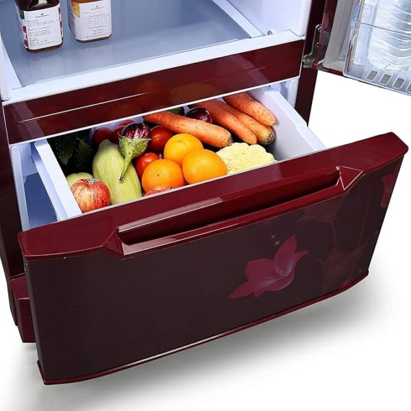 Godrej 225 L 3 Star ( 2019 ) Direct-Cool Single Door Refrigerator (RD EDUO 240 TDF 3.2 MGC WIN, Magic Wine, Additional 1 Year Free Extended Warranty) - Image 2