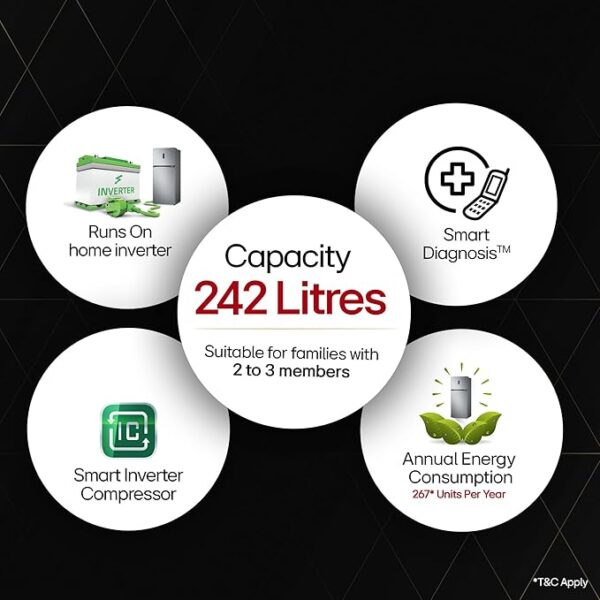 LG 242 L 2 Star Frost-Free Smart Inverter Double Door Refrigerator (GL-N292DPZY, Shiny Steel, Smart Connect & Multi Air Flow) - Image 5