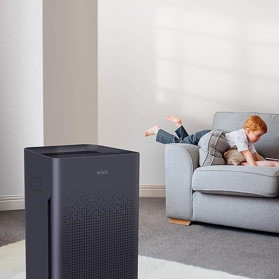 WINIX AM80 Air Purifier for Home Large Room Up to 1740 Ft² in 1 Hr With Air Quality Monitor, True HEPA, Advanced Odor Control Carbon Filter and Auto Mode, Captures Pet Allergies, Smoke, Dust Dark grey - Image 2
