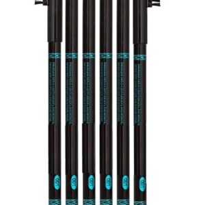 Facejewel Perfect Eyebrow Pencil waterproof (Set Of 6) (Black)